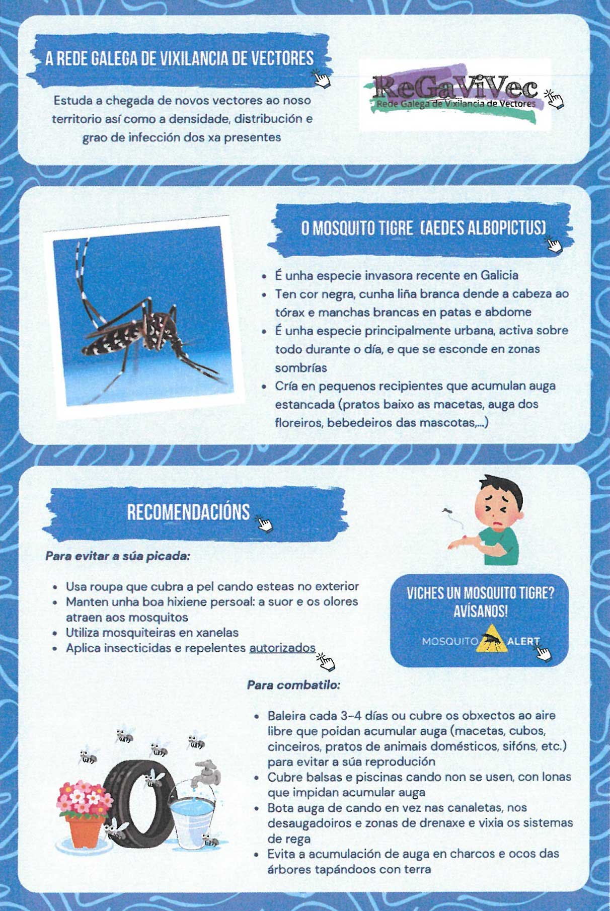 Mosquito2