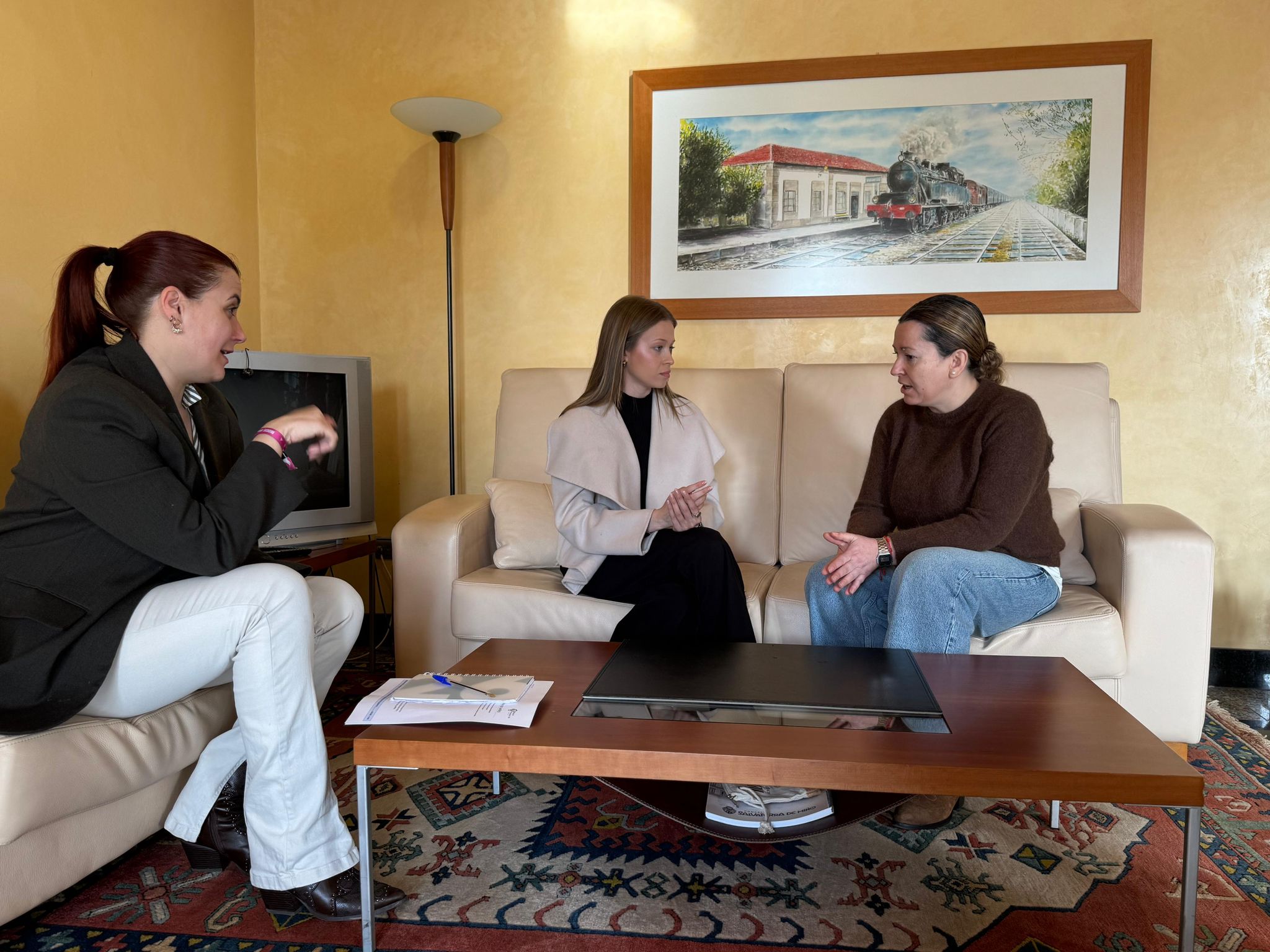 16 03 26 Reunión Lara Meneses Xuventude 3